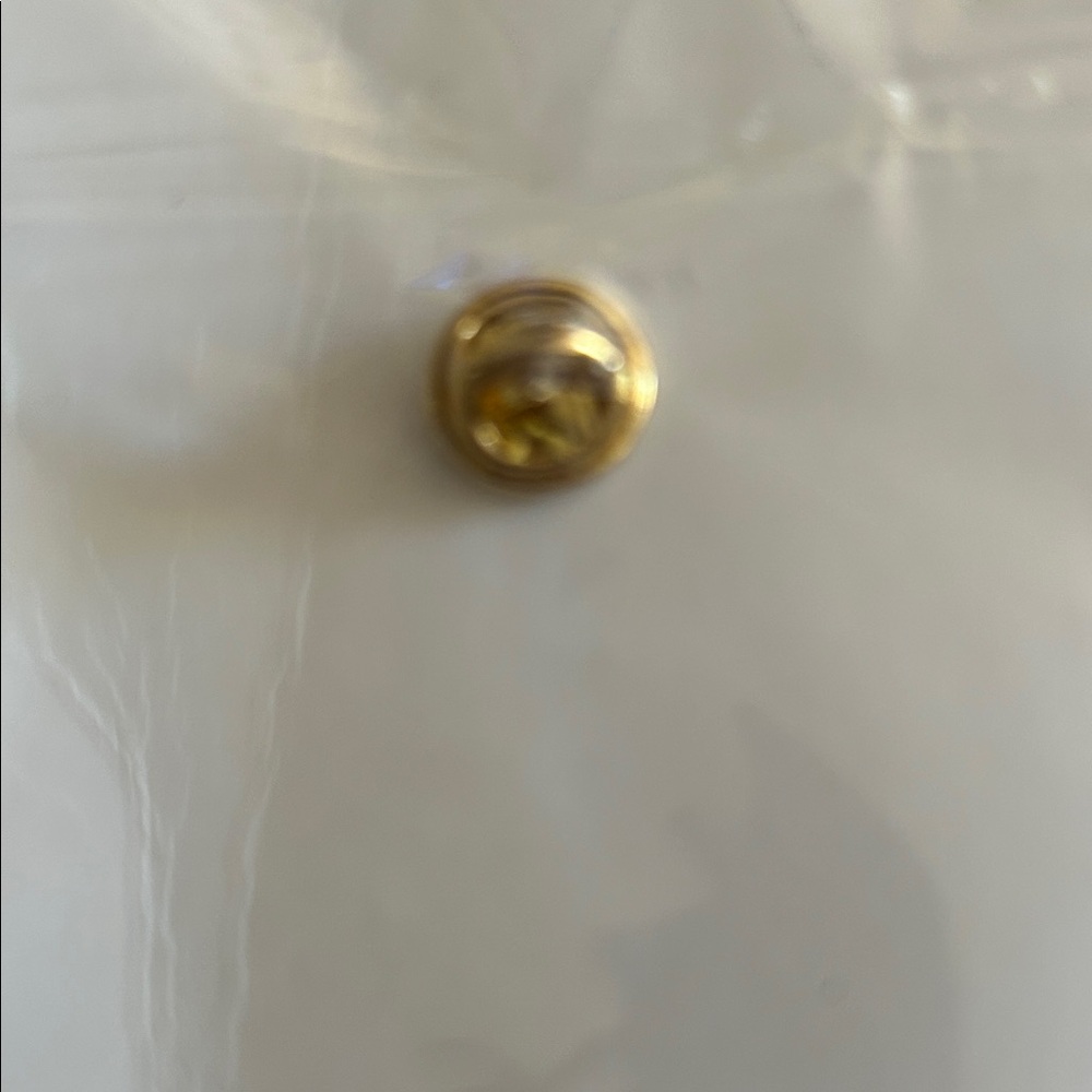 Carnival Cruise Line VIP Club Gold Status Pin - Picture 4 of 4